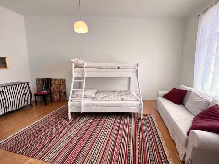 Grossraeumige Altbauwohnung Nahe Zentrum Apartament *